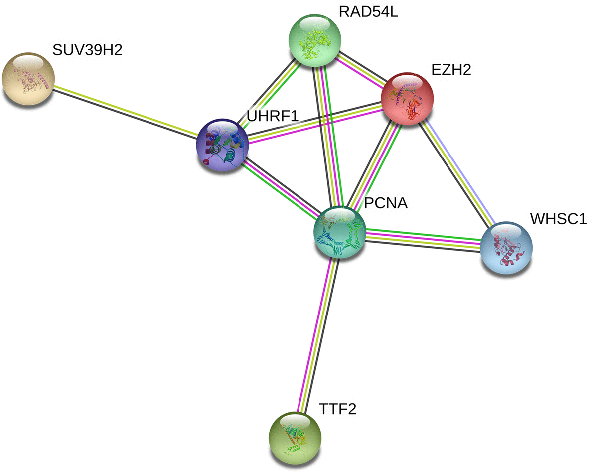 Prognostic Significance Of Epigenetic Regulatory Gene Expression In ...