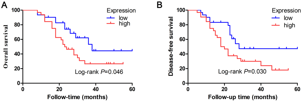 Prognostic value of let-7e expression was evaluated by Kaplan–Meier survival analyses of HCC patients. (A) HCC patients who had high let-7e expression had significantly worse OS rates compared with those who had low let-7e expression (*P=0.046). (B) Compared with HCC patients who had low let-7e expression, those who had high let-7e expression had significantly worse DFS rates (P=0.030).