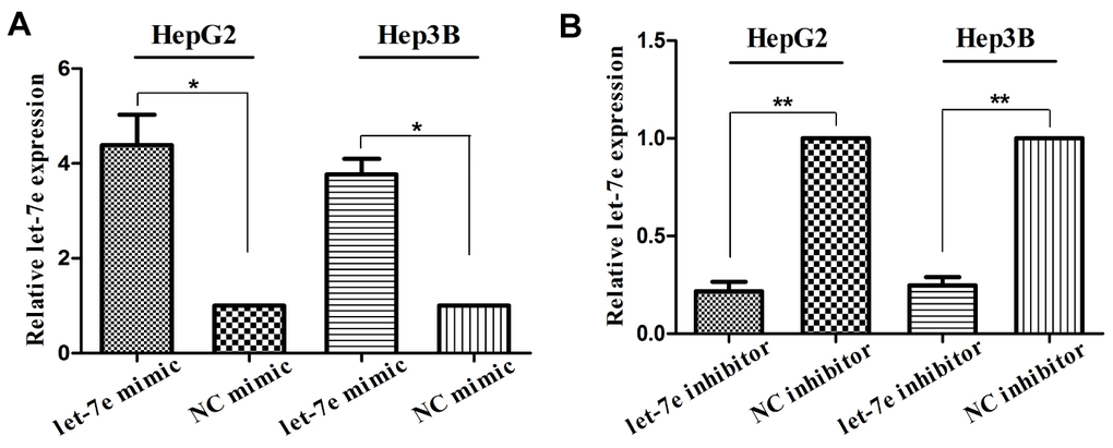 Verification of let-7e expression in transfected HCC cells. (A) Expression of let-7e was significantly upregulated in HepG2 and Hep3B HCC cells transfected with let-7e mimic compared with those transfected with control mimic. (B) Expression of let-7e was significantly downregulated in HepG2 and Hep3B HCC cells transfected with let-7e inhibitor compared with those transfected with control inhibitor (*PPP