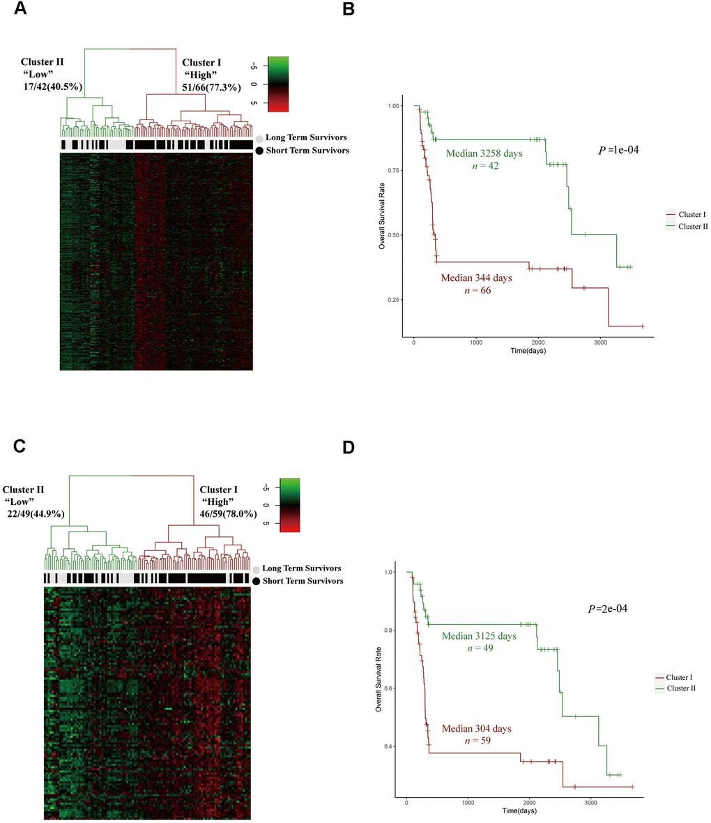 The upregulation of cell cycle pathways was associated with a poor prognosis in HCC patients. (A, C) Unsupervised hierarchical clustering with Euclidean distances and Ward linkages of the expression matrices of 300 mitotic cell cycle genes in Reactome (A) and 108 cell cycle G1/S phase transition genes in the GO resource (C) for 108 tumor samples (68 STS and 40 LTS). Rows indicate the genes and columns indicate the patients. The patient survival status for each tumor is depicted directly above each column. Cluster I expressed higher levels of the genes in these two pathways, while cluster II expressed lower levels. (B) Kaplan-Meier curves for the clusters resulting from the unsupervised hierarchical clustering in (A). (D) Kaplan-Meier curves for the clusters resulting from the unsupervised hierarchical clustering in (C).