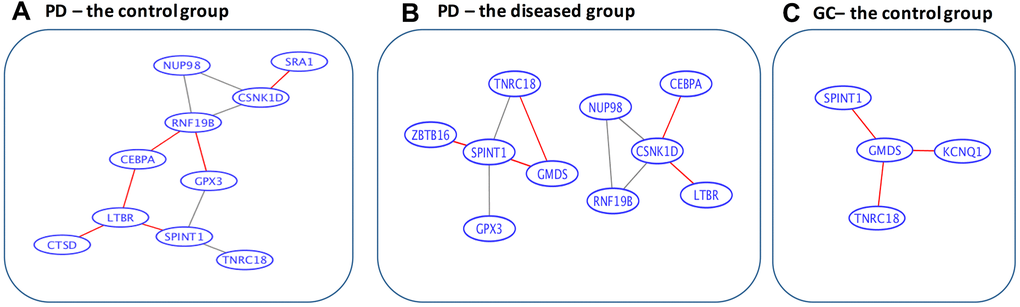 Data-driven gene-to-gene interaction networks of the overlapped 15 genes. (A) For the control group in Parkinson’s disease. (B) For the diseased group in Parkinson’s disease. (C) For the control group in gastric cancer. PD, Parkinson’s disease; GC, gastric cancer. The edges highlighted in red are unique for the corresponding categories. Specifically, among the gastric cancer patients, all the 15 overlapped genes are isolated from each other, whereas among the controls, 3 gene pairs (SPINT1 and GMDS, GMDS and TNRC18, and CSNK1D and RNF19B) are connected. In contrast, for Parkinson’s disease patients 5 pairs of connections are gained, 6 pairs are lost, while 5 pairs remain connected.