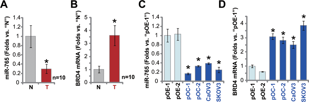 miR-765 is downregulated in ovarian cancer tissues. Expression of miR-765 and BRD4 mRNA in ten (n=10) different ovarian cancer tissues (“T”) and surrounding paracancerous normal tissue (“N”) (A, B) as well as in primary ovarian cancer cells (pOC-1 and pOC-2), established ovarian cancer cell lines (CaOV3 and SKOV3), and human ovarian epithelial cells (pOE-1 and pOE-2) (C, D) was shown, with results quantified. Data were presented as mean ± standard deviation (SD). #p A, B). * p C, D). Experiments in this figure were repeated three times with similar results obtained.