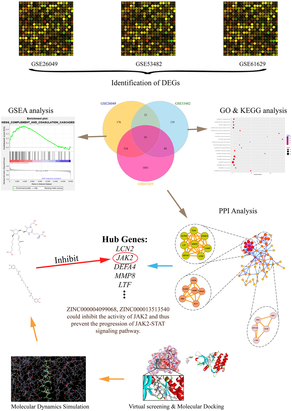 The whole diagram and framework of this study. DEGs, differentially expressed genes; GO, Gene Otology; KEGG, Kyoto Encyclopedia of Genes and Genomes; GSEA, Gene set enrichment analysis; PPI, protein-protein interaction.