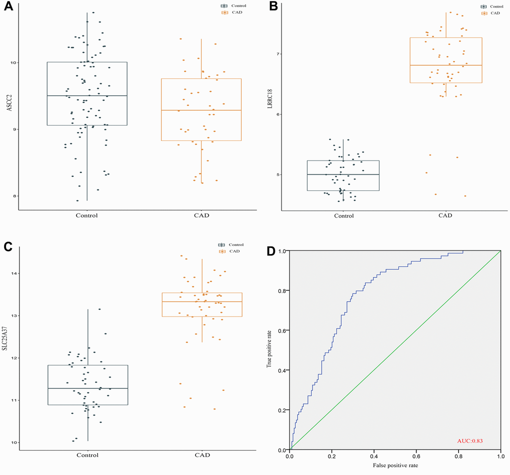 External validation of the diagnostic markers in cohort study. (A) The gene expression level of ASCC2. (B) The gene expression level of LRRC18. (C) The gene expression level of SLC25A37. (D) ROC curves analysis of validation set.