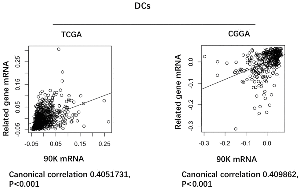 Correlation of 90K expression with dendritic cell-specific marker genes in CGGA and TCGA datasets. Each circle represents a patient with glioma.