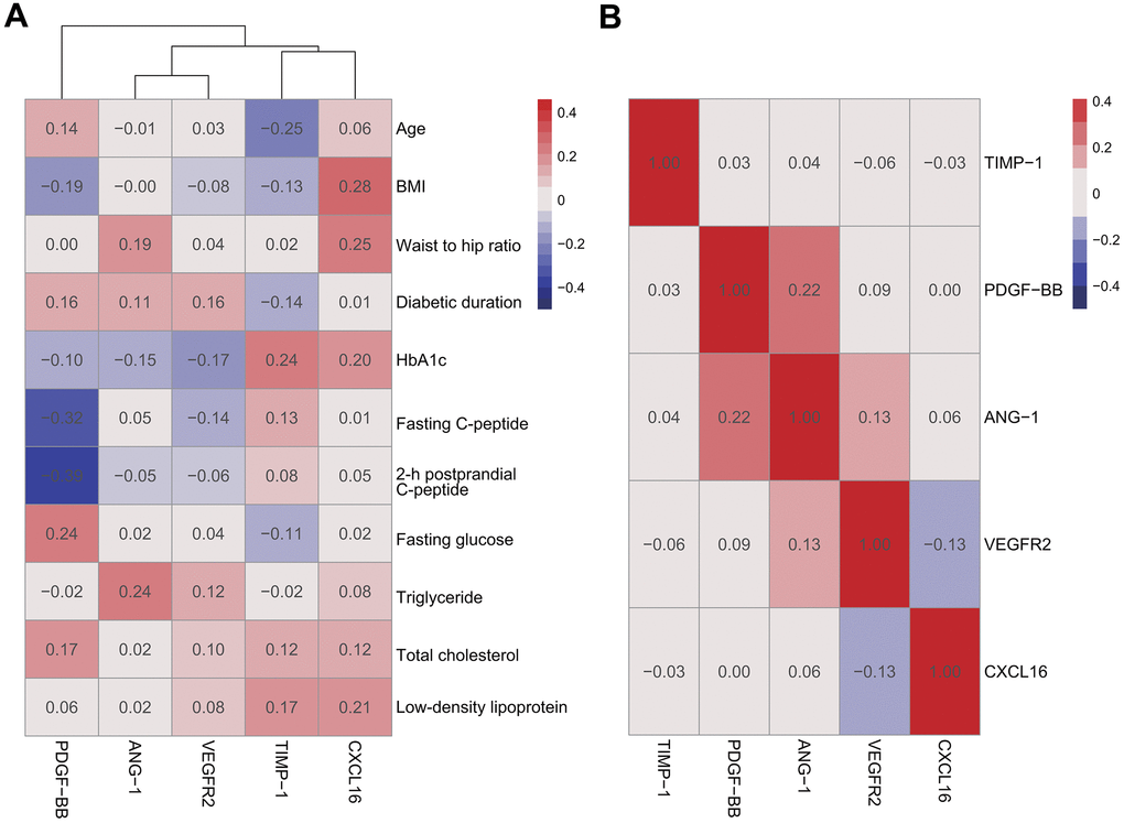Pearson correlation analysis of DME group. There were no significant positive correlations between plasma cytokines and clinical characteristics (A) among plasma cytokines (B).