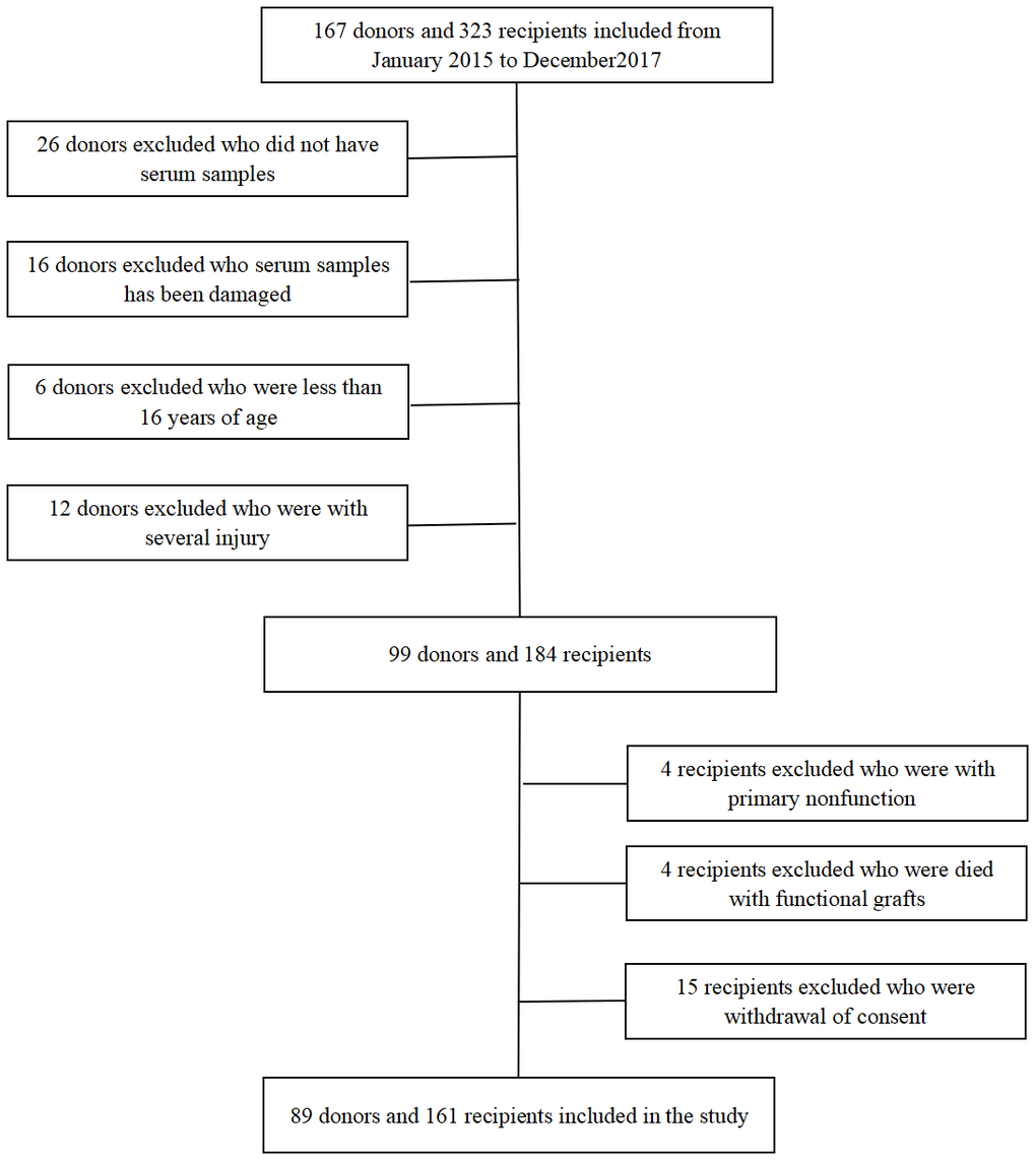 Flow chart for kidney donors and recipients enrolled in the study.
