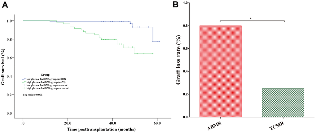 (A) Graft survival analyses. Kaplan-Meier curves for graft survival according to whether the donor plasma dmtDNA level was >0.092. (B) The graft loss rate in the ABMR group was significantly higher than that of the TCMR group. ABMR: antibody-mediated rejection; TCMR: T cell-mediated rejection.