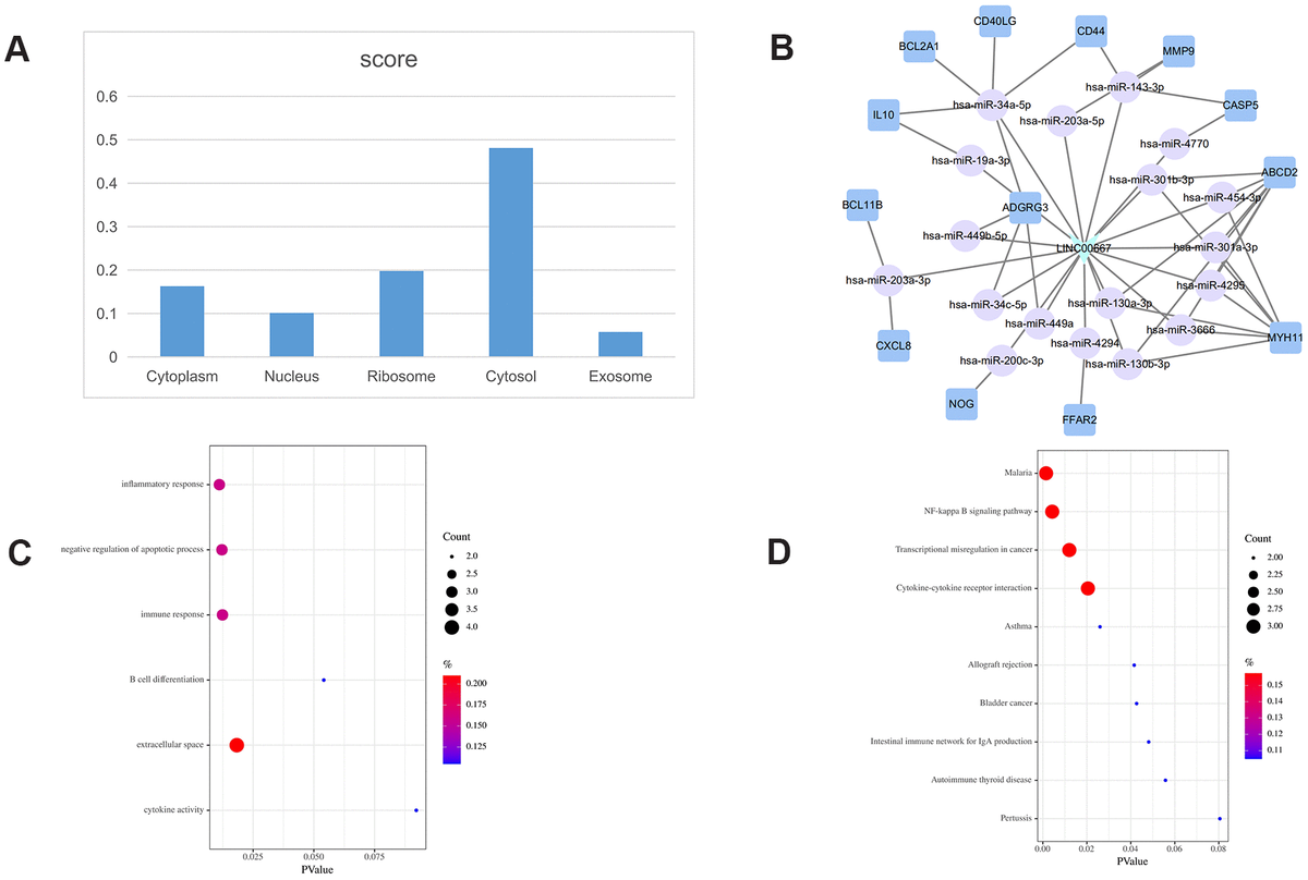 Construction Of A CeRNA-based LncRNA-mRNA Network To Identify ...