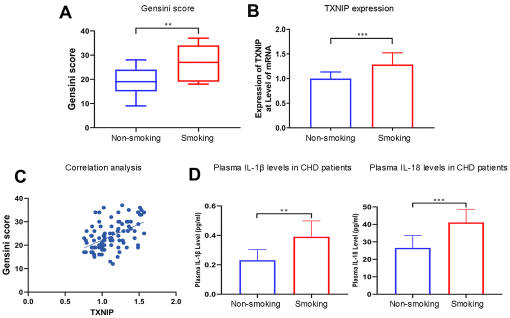 Smoking aggravates the Gensini score, TXNIP expression, and cytokine secretion in patients with CHD. (A) The Gensini score was evaluated in every patient based on the results of coronary angiography. (B) TXNIP mRNA expression was measured in the monocytes of CHD patients. (C) Correlation analysis of Gensini score and TXNIP expression. (D) IL-1β and IL-18 from plasma in patients with CHD were analyzed. The smoking groups were compared to the non-smoking groups (*P 