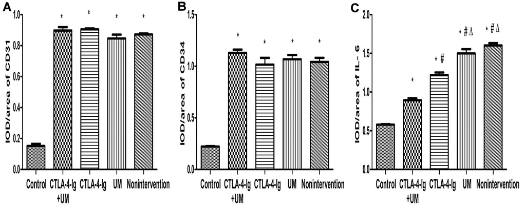 Comparison of the expression of CD31, CD34, and IL-6 in rat kidneys. Data are expressed as means ± standard deviation, IOD / area of CD31, CD34, and IL-6: integrated optical density value per unit area of CD31, CD34, and IL-6. (A) CD31, * P B) CD34, * P C) IL-6, * P 