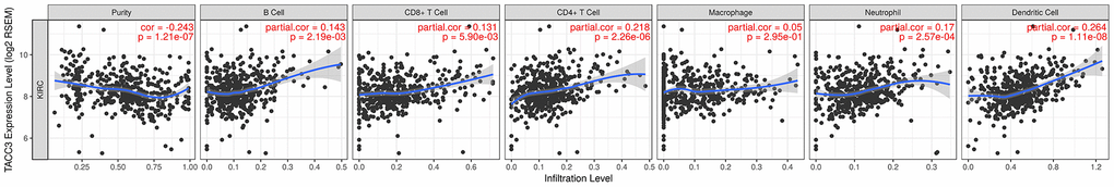Association between TACC3 expression and tumor immune cell infiltration (purity, B cell, CD8+ T cell, CD4+ T cell, macrophage, neutrophil and DCs) in KIRC. The data were determined using TIMER.