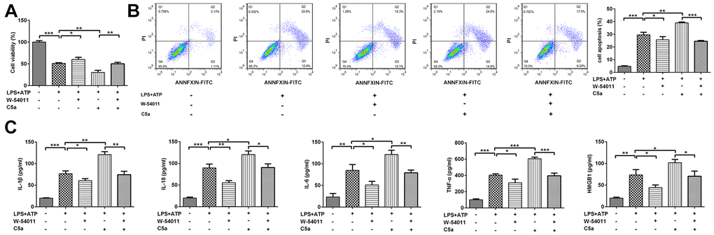 The effect of W-54011 on cell viability and pro-inflammatory cytokines levels in the presence of C5a in Beas-2B cells. (A) The cell viability in different groups was detected by CCK-8 assay. (B) Representative flow cytometry and quantitative analyses for dead cells. (C) The concentrations of pro-inflammatory cytokines including IL-1β, IL-18, IL-6, TNF-α and HMGB1 in supernatant of Beas-2B cells were determined by ELISA assay. Each experiment was repeated at least 3 times. *P **P ***P 