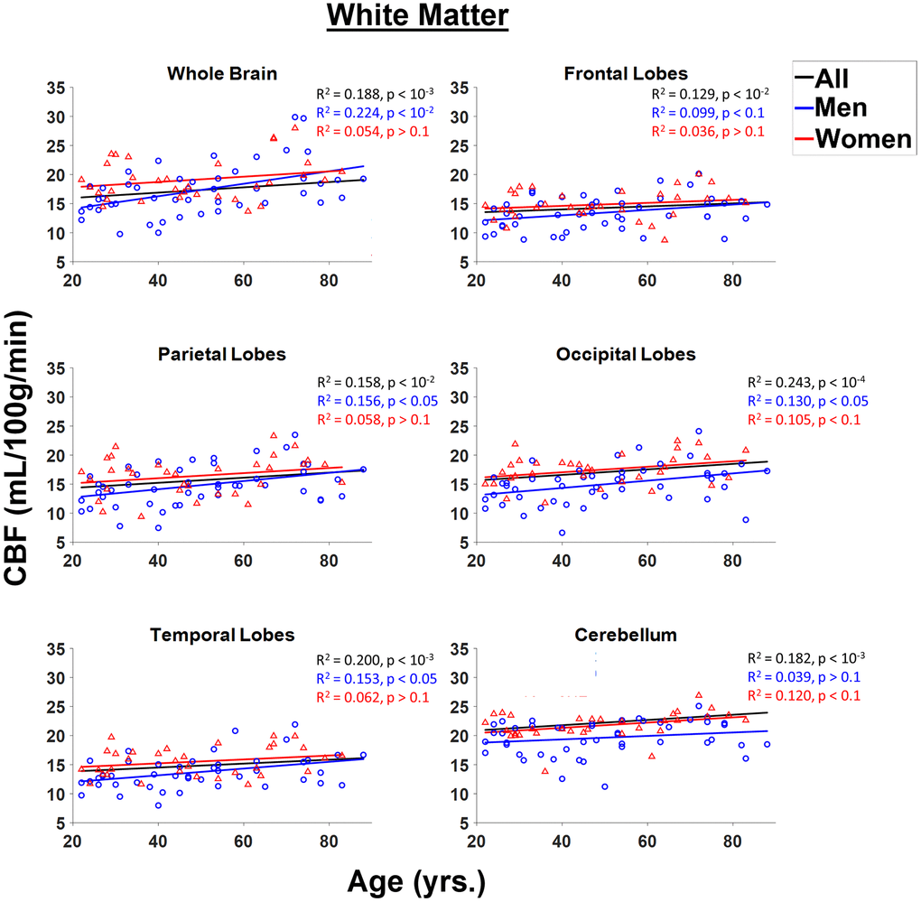 Regressions of CBF values obtained from NESMA-filtered ASL images with age and sex shown for the six white matter (WM) regions investigated. For each structure, the coefficient of determination, R2, and p-value, obtained after FDR correction, are reported. Most regions investigated showed linearly increasing CBF with age. This trend is more pronounced for men (blue) as compared to women (red).
