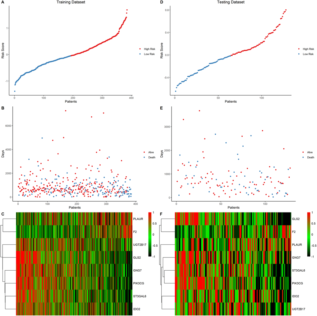 Eight-gene signature predictor score analysis in training and testing data set. (A–C) Training data set, (D–F) Testing data set. The ranked dot plot illustrated the predictor-score distribution of the training data set (A) and testing data set (D). A scatter plot presenting the patients’ overall survival status from training data set (B) and testing data set (E). A heatmap showing the expression profile of the eight signature genes of LUAD patients from training data set (C) and testing data set (F).