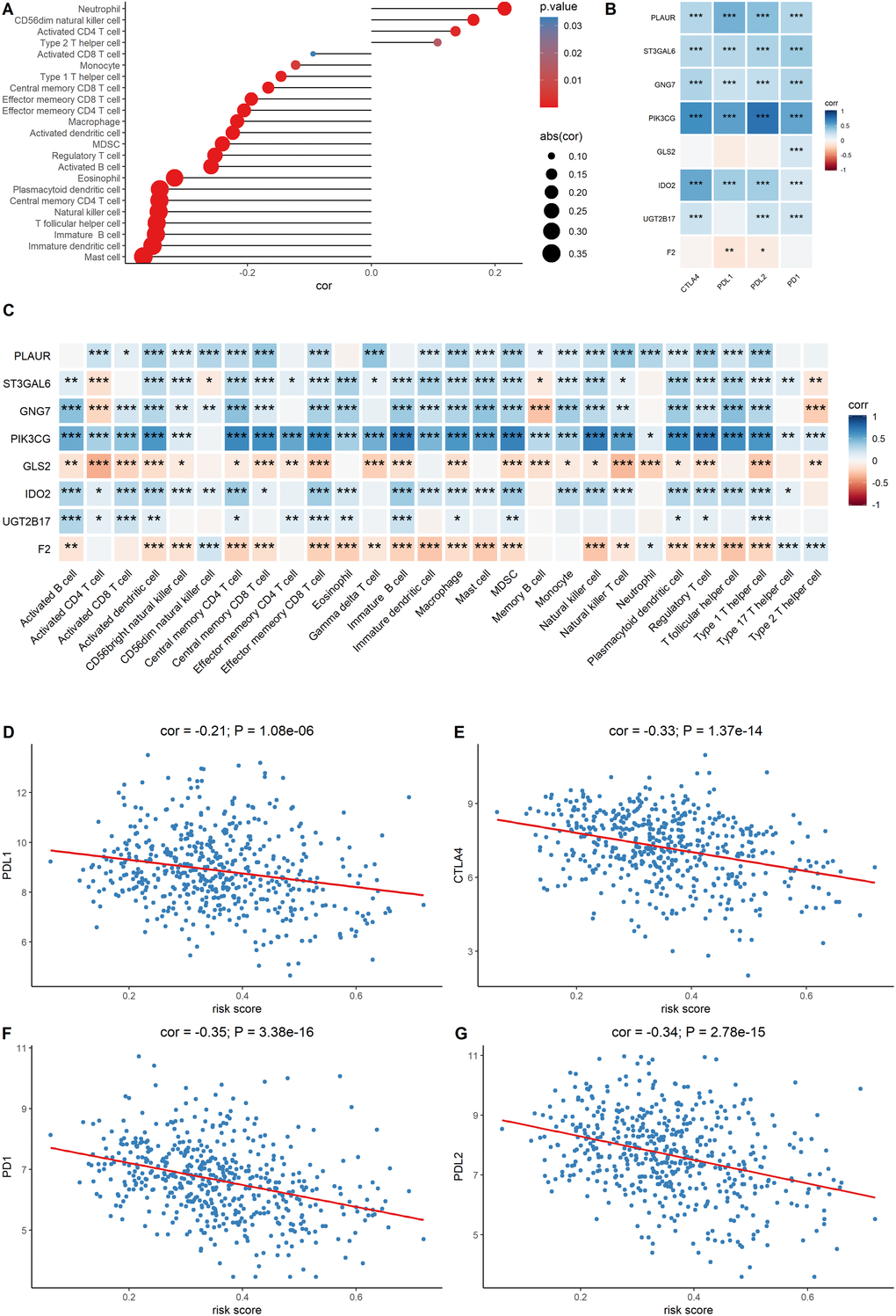 Evaluation of the correlation between the signature genes and immune characteristics. (A) Correlation between the risk score and immune cell infiltration score. (B) Correlation between the expression level of immune markers and the eight signature genes. (C) Correlation between each signature gene of the model and each immune cell type. (D–G) Correlation between the four immune checkpoint markers and the risk score.