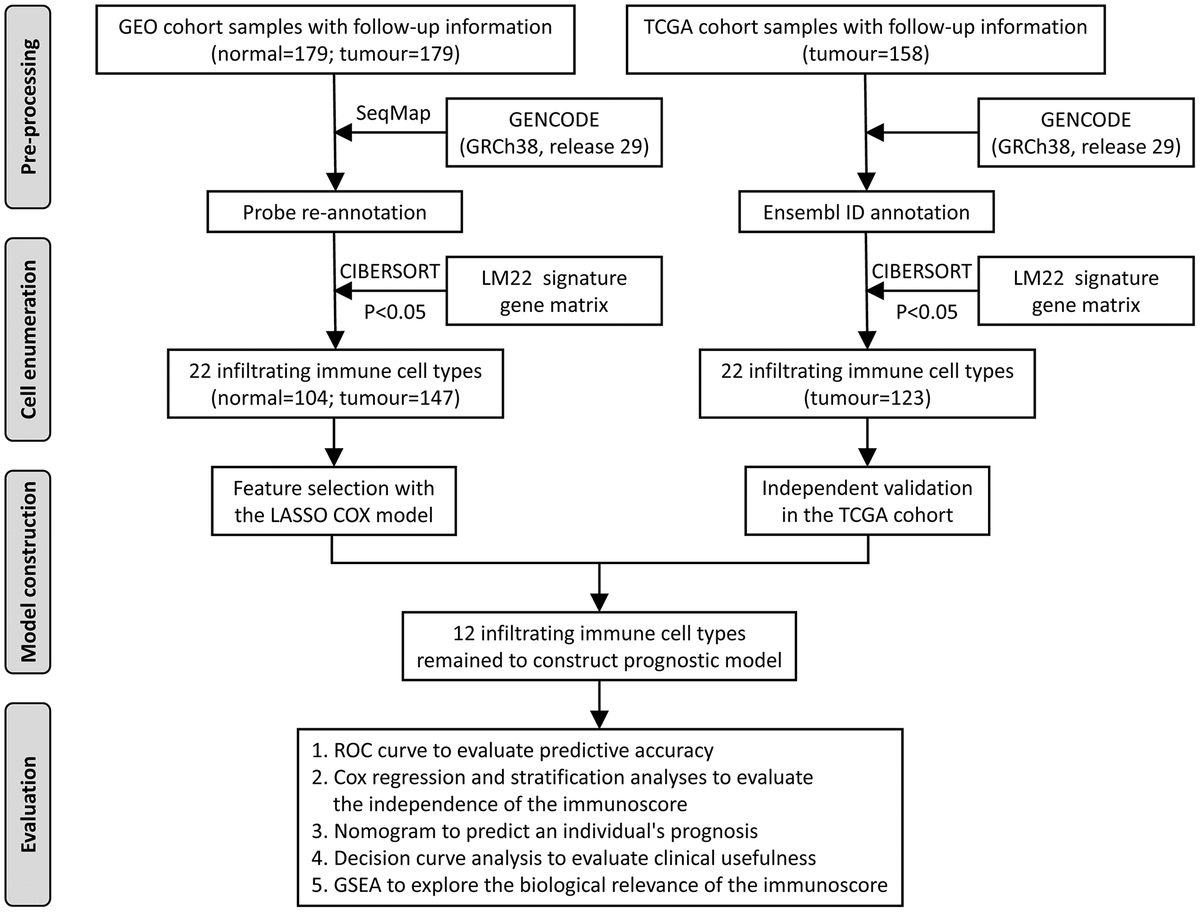 An immunoscore nomogram for predicting survival in patients with ...