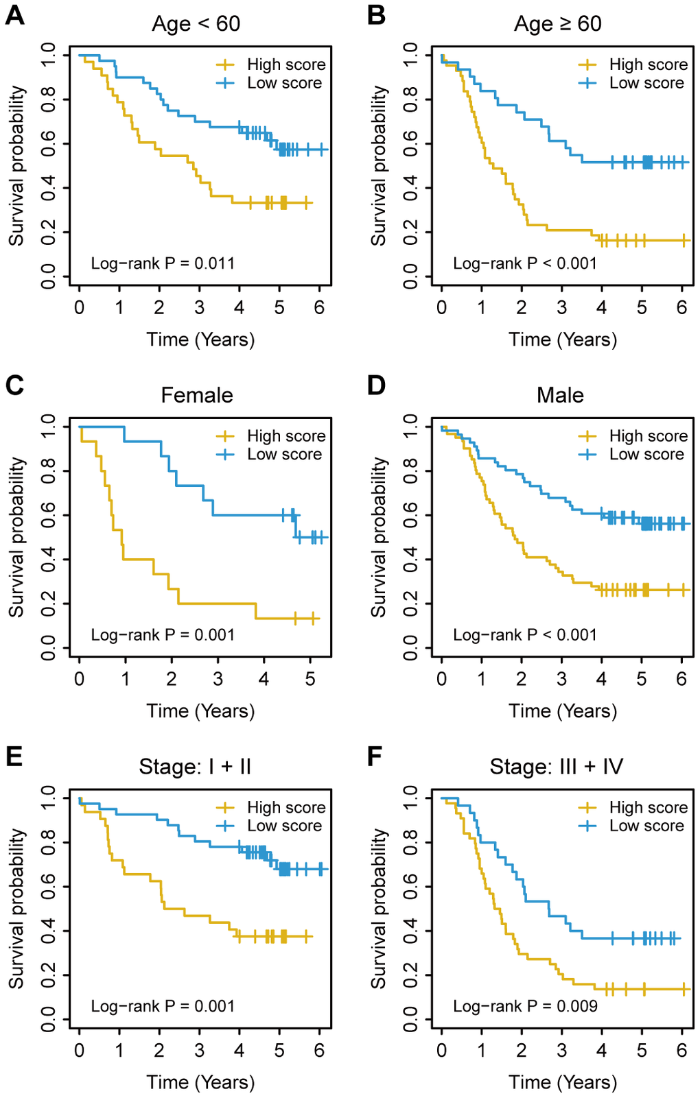 Kaplan–Meier survival analysis based on the immunoscore signature of oesophageal cancer patients in the training cohort stratified based on clinical characteristics. (A, B) Age. (C, D) Sex. (E, F) TNM stage. The log-rank test was performed to calculate P values.