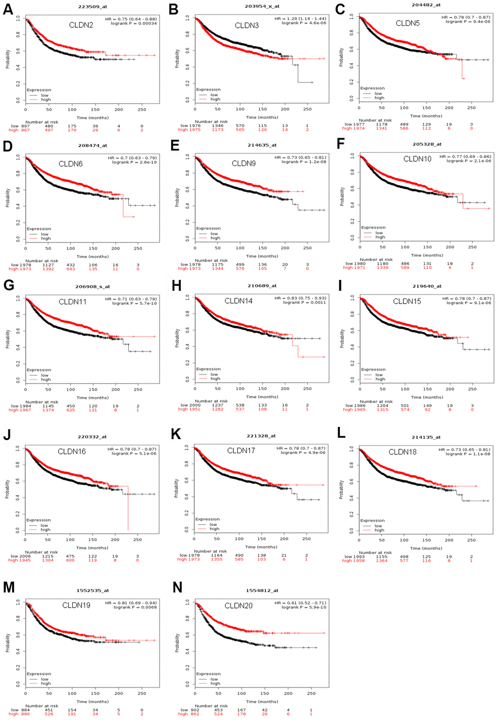 The RFS of mRNA levels of claudins in all patients with breast cancer (Kaplan–Meier plotter). (A) CLDN2; (B) CLDN3; (C) CLDN5; (D) CLDN6; (E) CLDN9; (F) CLDN10; (G) CLDN11; (H) CLDN14; (I) CLDN15; (J) CLDN16; (K) CLDN17; (L) CLDN18; (M) CLDN19; (N) CLDN20. Abbreviation: RFS, relapse-free survival.