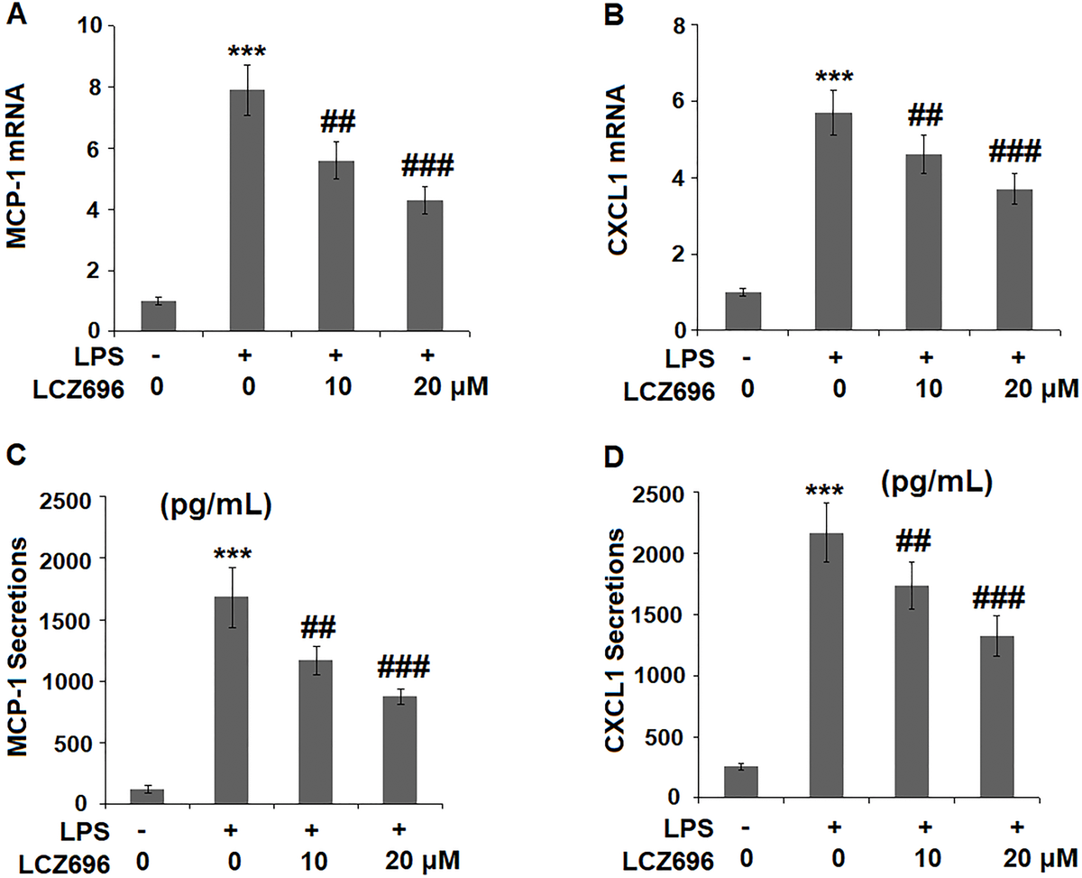 LCZ696 Ameliorates Lipopolysaccharide-induced Endothelial Injury ...