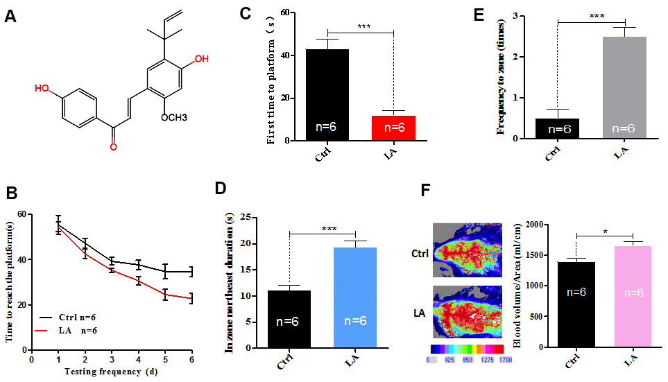 Effect of LA treatment on the cognitive ability of middle-aged C57BL/6 mice. (A) The chemical structure of LA. (B) Time taken by LA-treated or control (Ctrl)-treated mice to reach the platform in the MWM test over a 6-day experiment. (C) First latency to the platform in the MWM test. (D) In zone target duration in the MWM test. (E) Frequency in zone in the MWM test. (F) Cerebral blood flow level in LA- or Ctrl-treated mice. The data are presented as the mean±SD of three independent experiments. Statistical significance was determined using unpaired t-tests. *p p 