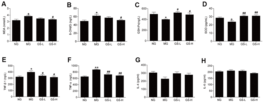 Effects of GSLS on D-gal-induced changes in oxidative stress markers and pro-inflammatory cytokines in serum of D-gal-induced mice. (A) malondialdehyde (MDA); (B) 8-hydroxy deoxyguanosine (8-OHdG); (C) glutathione peroxidase (GSH-Px); and (D) superoxide dismutase (SOD); (E) tumor necrosis factor-β1 (TNF-β1); (F) tumor necrosis factor-α (TNF-α); (G) interleukin-4 (IL-4); and (H) interleukin-6 (IL-6). All data are represented as mean ± SEM (n = 6). *p p #p ##p 