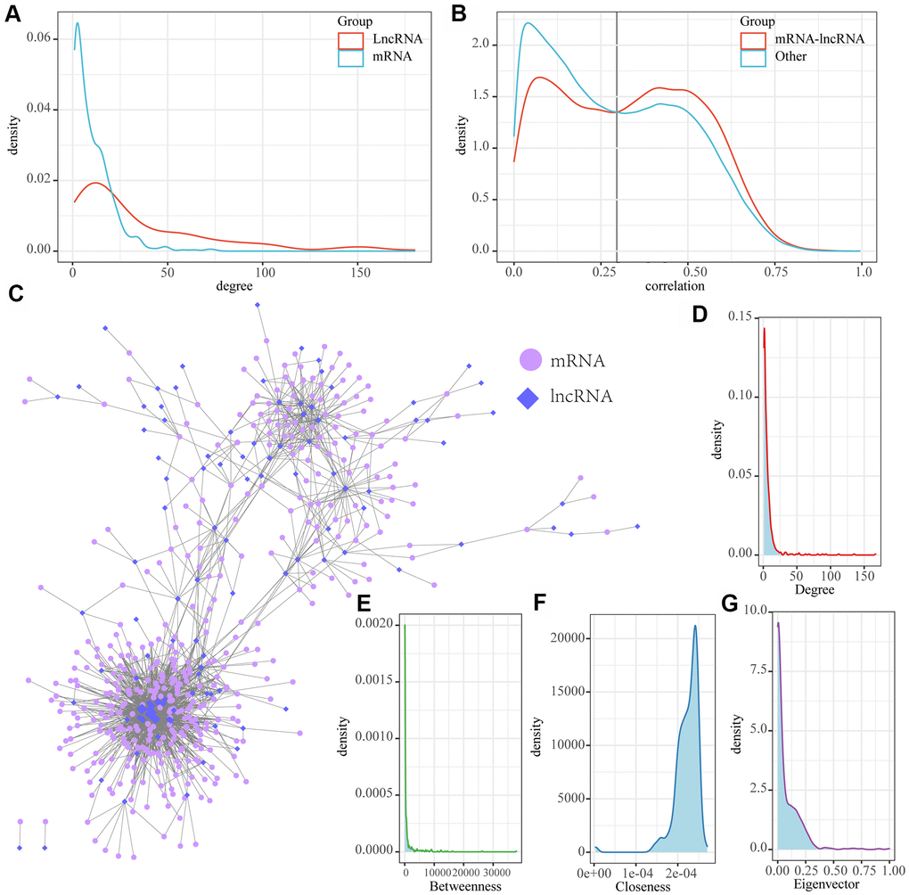 MI-associated LncRNA-mRNA regulatory networks. (A) Distribution degree of lncRNA and mRNA nodes in lncRNA-mRNA interaction networks; (B) Distribution of lncRNA and mRNA correlations in LncRNA-mRNA regulatory networks and lncRNA-mRNA correlations in non-lncRNA-mRNA networks; (C) MI-associated lncRNA-mRNA regulatory networks. (D) Distribution degree of the network. (E) Median centrality distribution of the network. (F) The near-central distribution of the network. (G) The eigenvector centrality distribution of the network.