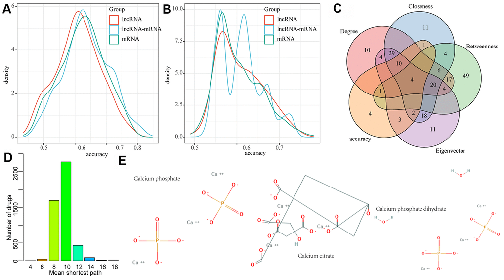 LncRNA-mRNA network mining was used to identify MI diagnostic and prognostic biomarkers. (A) The distribution of diagnostic accuracy of each lncRNA, mRNA, lncRNA-mRNA pair in the network for MI; (B) The distribution of prognostic of each lncRNA, mRNA, lncRNA-mRNA pair in the network for MI; (C) The intersection of candidate RNA molecules and nodes with network degree, medium centrality, near centrality and eigenvector centrality of top 10% in the network; (D) Mean shortest path distribution of drugs to MI gene markers. (E) 2D structures of three potential MI drug molecules.