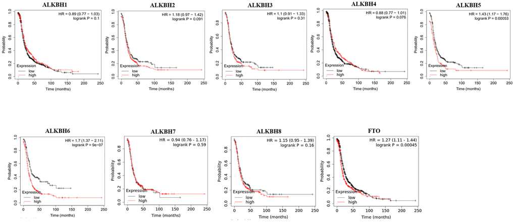 The correlations of AlkB family expression with PFS in OV patients. Kaplan-Meier plotter was used to assess the correlation of AlkB family members with the patients’ PFS time.