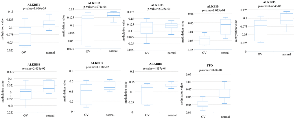The methylation levels of the AlkB family in OV tissues. The methylation values of AlkB family members were evaluated using the DiseaseMeth database.