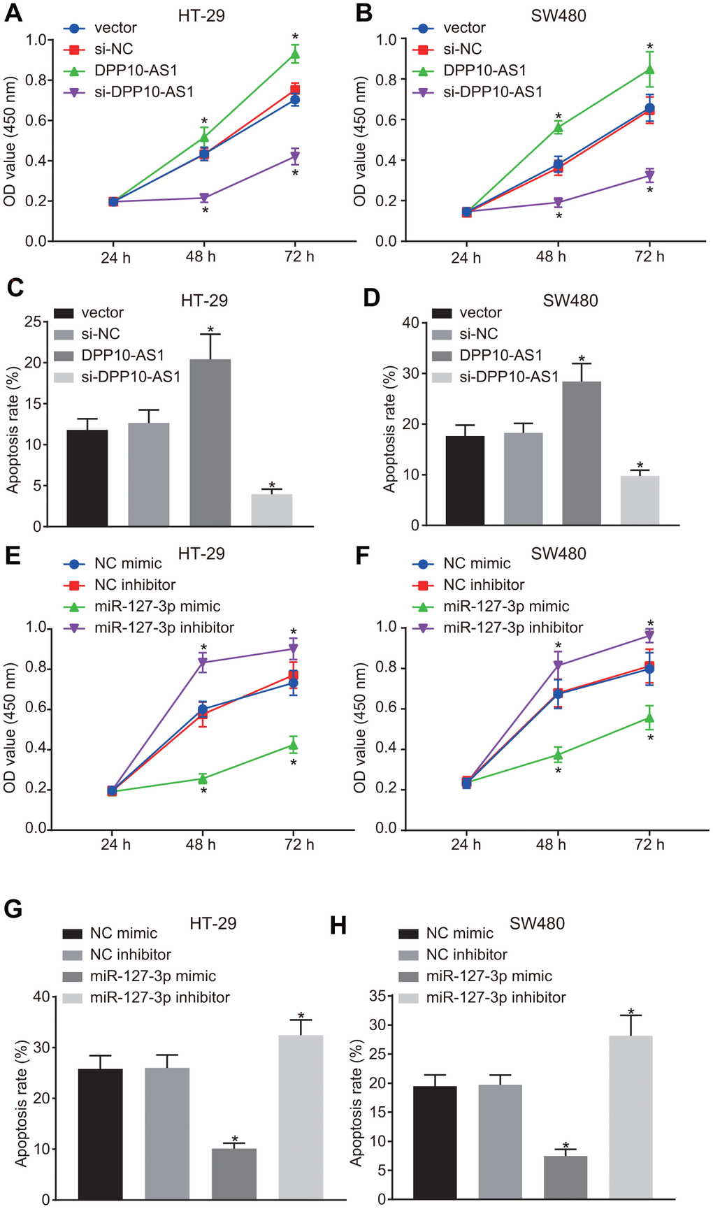 Upregulation of DPP10-AS1 and downregulation of miR-127-3p suppress the proliferation and stimulate apoptosis of CCSCs. (A, B) cell proliferation detected by CCK-8 assay after DPP10-AS1 expression was altered; (C, D) cell apoptosis detected by flow cytometry after DPP10-AS1 expression was altered; (E, F) cell proliferation detected by CCK-8 assay after miR-127-3p expression was altered; (G, H) cell apoptosis measured by flow cytometry after miR-127-3p expression was altered. *, p vs. vector and si-NC, or NC mimic and NC inhibitor. The measurement data were expressed as mean ± standard deviation. The data among multiple groups were analyzed by two-way ANOVA followed by a Tukey’s post hoc test. The experiment was repeated three times. DPP10-AS1, cells transfected with DPP10-AS1 plasmid; si-DPP10-AS1, cells transfected with si-DPP10-AS1; si-NC, cells transfected with si-negative control plasmid; miR-127-3p mimic, cells transfected with miR-127-3p mimic plasmid; NC mimic, cells transfected with negative control mimic plasmid.