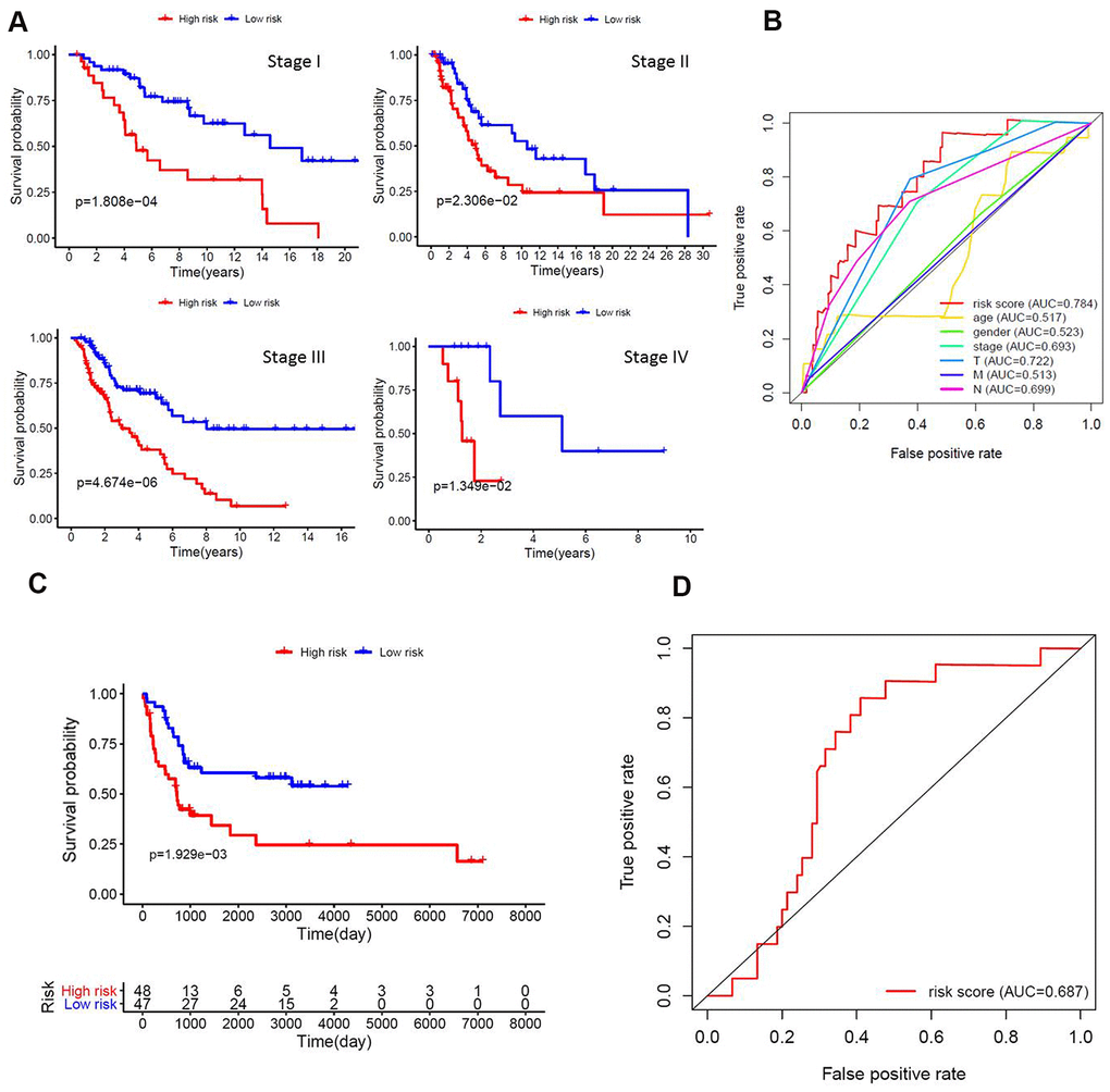 Functional validation of the prognostic model. (A) Kaplan–Meier analysis according to the prognostic model in melanoma patients of different tumor stage; (B) Comparison of ROC curves for prediction of survival by the risk score and other variables (age, gender, stage, tumor, lymph node, metastasis). (C) The gene expression profiles of 95 melanoma patients were mined to extract the expression levels of eight lncRNAs and validate the prognostic model using the same algorithm. We also observed significant differences in survival between the two risk groups; (D) The area under the ROC curve (AUC) of the validation dataset was 0.687.