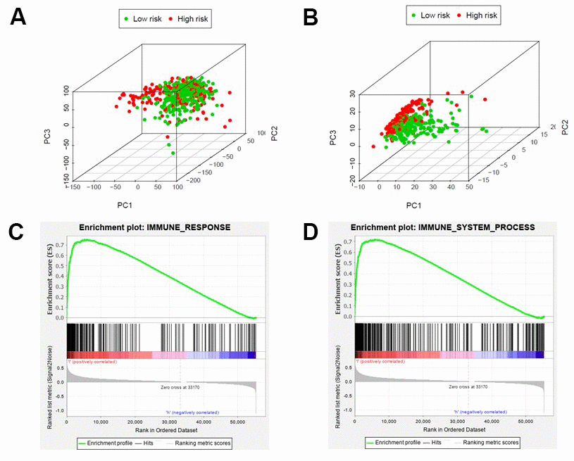 Different immune status in high-risk and low-risk groups. Principal components analysis between high-risk and low-risk groups based on all genes (A) or immune-related genes (B). Enrichment analysis of genes related to immune response (C) or immune system process (D), which shows gene sets enriched in the low-risk group. NSE: Normalized Enrichment Score.