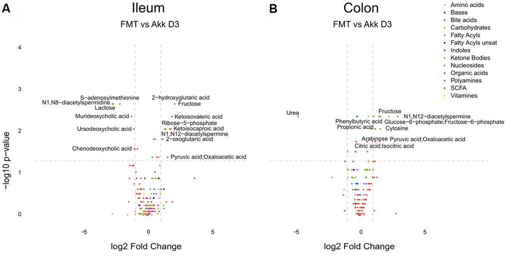 Differential metabolite identification in samples from ileum (A), or colon (B) from mice receiving FMT or Akk at day 3 after the first oral gavage. The horizontal dashed gray line shows where p=0.05 with points above being metabolites with significantly different relative abundance (pp value) are annotated. Families of metabolites are grouped by colors.