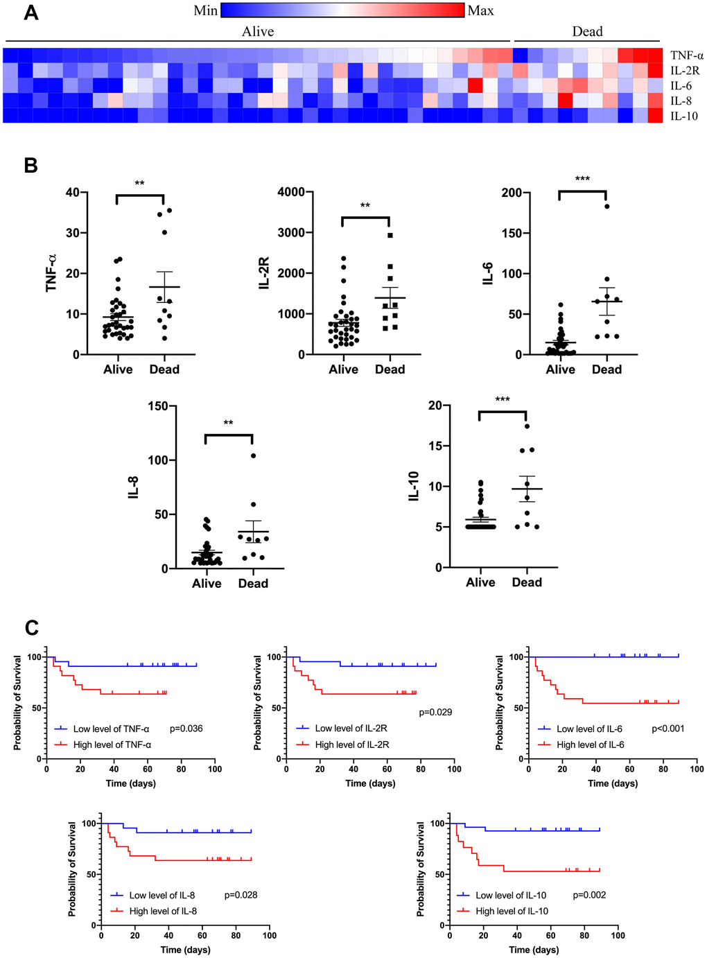 Serum cytokines on admission of cancer patients with COVID-19. Levels of TNF-α, IL-2R, IL-6, IL-8, and IL-10 were tested on admission of cancer patients with COVID-19 divided by the outcome (A). Levels of TNF-α, IL-2R, IL-6, IL-8, and IL-10 were increased in those patients who died from COVID-19 (B). Levels of TNF-α, IL-2R, IL-6, IL-8, and IL-10 were correlated with survival time of cancer patients with COVID-19 (C).