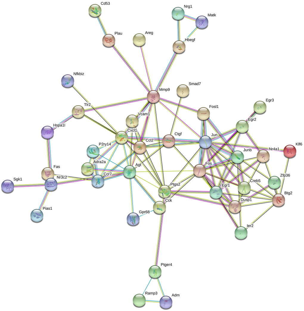 Protein-protein interaction network associated with Pias1 overexpression in HT-22 cells. The protein-protein interaction network was reconstructed by the top 43 DEG proteins in response to Pias1 overexpression in HT-22 cells, such as Nr3c2.