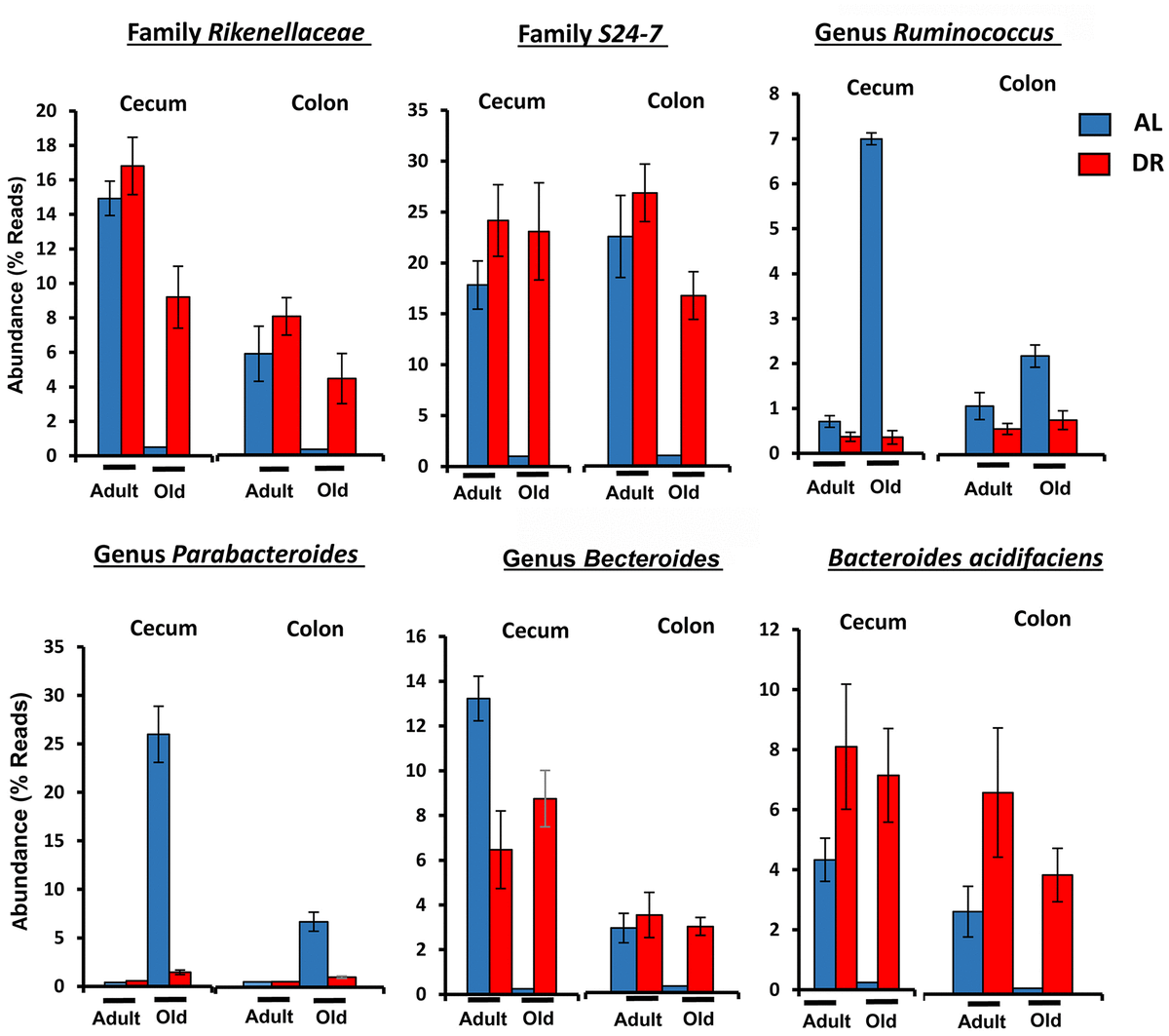 Calorie Restriction Prevents Age-related Changes In The Intestinal ...