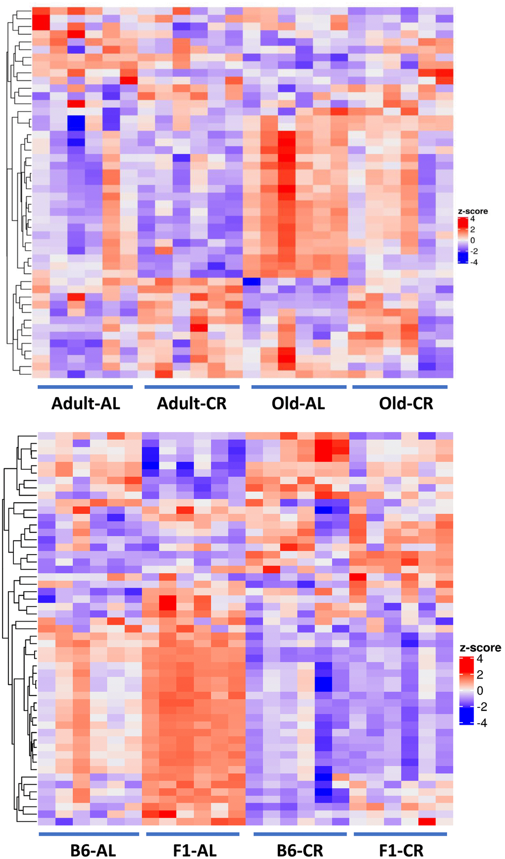 Heatmaps of the fecal metabolome. Top Panel: Heatmap of the 48 metabolites that changed significantly (FDR 