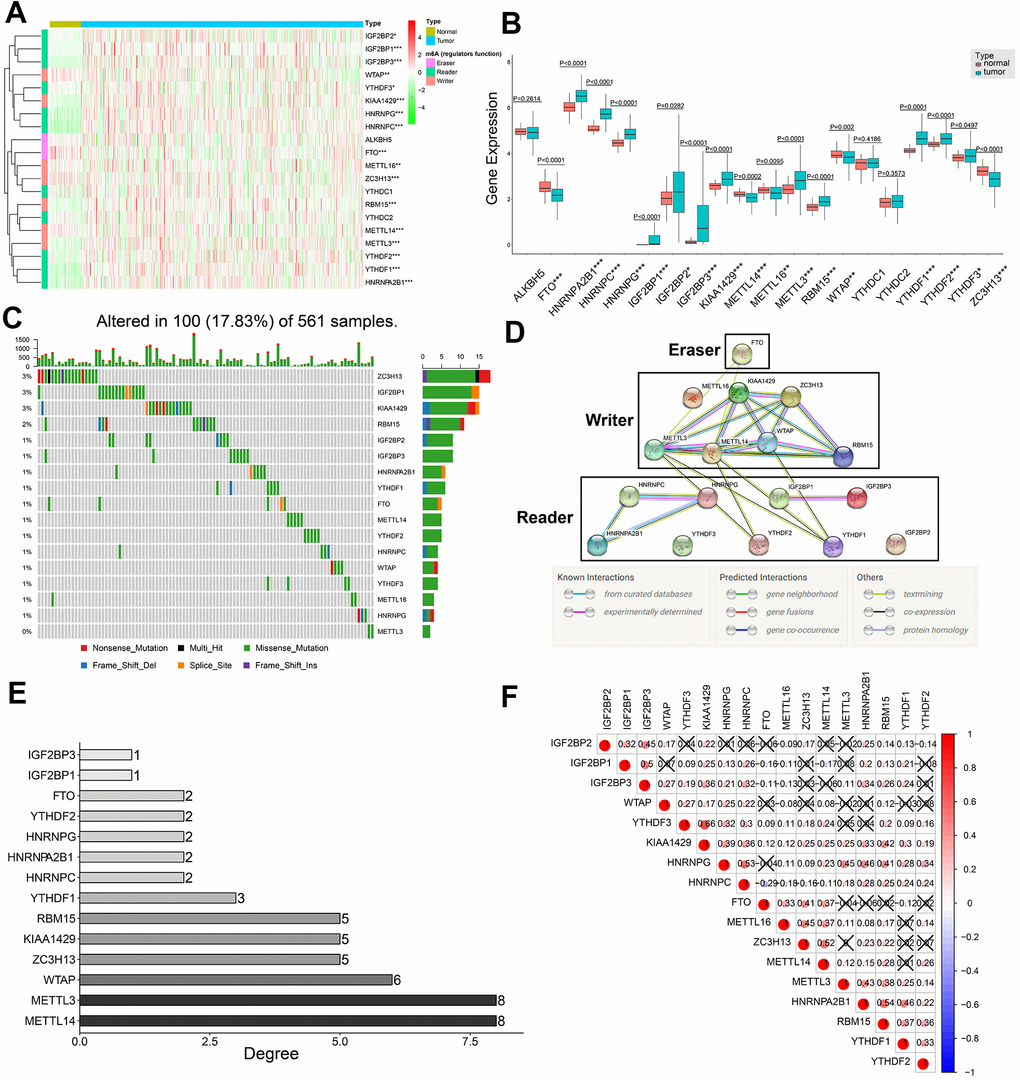 A five-m6A regulatory gene signature is a prognostic biomarker in 