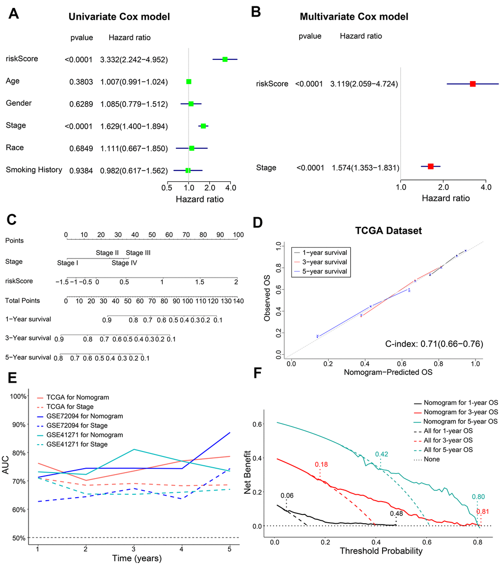 Construction of a prognostic risk signature-based nomogram and evaluation of its performance in the TCGA dataset. (A, B) The forest plot shows association of clinicopathological parameters including risk score and the OS status of TCGA-LADC dataset as assessed by univariate and multivariate Cox regression models. (C) The nomogram with risk score and AJCC stages to predict 1-year, 3-year and 5-year OS of individual LADC patients. (D) The calibration curves and c-index values for the predicted 1-year, 3-year, and 5-year OS based on the nomogram for the TCGA-LADC patients from the training set. (E) ROC curve analysis shows the variations in the AUC values for the nomogram and AJCC stages in the training and validation cohorts for the 1-year to 5-year follow-up period. (F) The DCA analysis shows 1-year, 3-year and 5-year OS for LADC patients based on the nomogram.