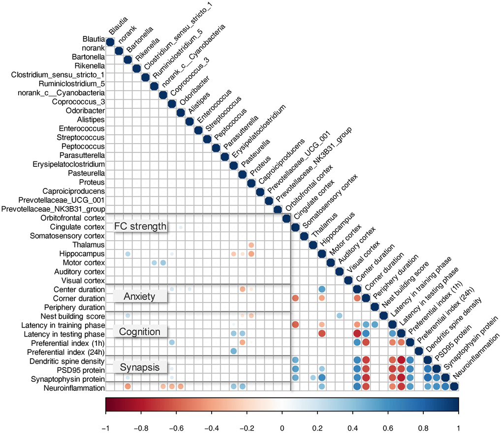 Correlation between bacterial genera and key behavioral/neurobiological findings. Pearson correlation between relative taxa abundance and cognitive behavior test, fMRI measured FC, hippocampal neuronal plasticity, and neuroinflammation. All observed correlations were statistically significant (P 