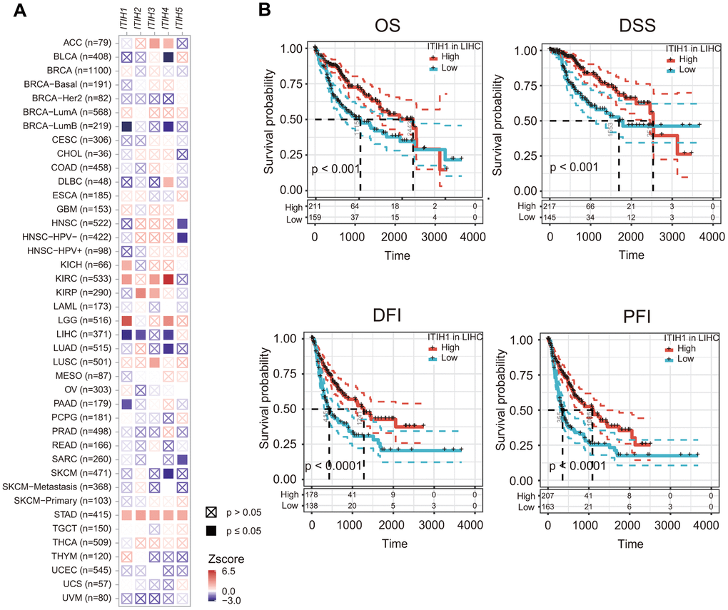 The prognostic impacts of ITIHs in cancers. (A) Association between ITIHs expression and patient prognosis across 33 cancer types as determined by the TIMER2.0 database. (B) Kaplan-Meier curves represent OS, DSS, DFI, and PFI of patients with LIHC stratified by the expression levels of ITIH1. ITIH1 expression was significantly associated with OS, DSS, DFI, and PFI in LIHC.