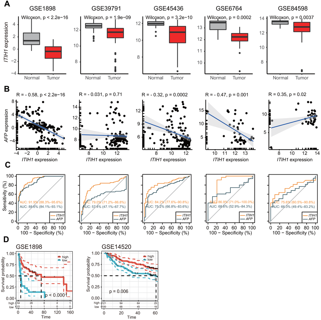 Independent validation of the differential expression and prognostic significance of ITIH1 in GEO datasets. (A) Boxplots showing the expression of ITIH1 in LIHC and normal controls from five GEO datasets (GSE1898, GSE39791, GSE45436, GSE6764, and GSE84598). (B) Scatterplots showing the correlation between ITIH1 and AFP expression in the five datasets as described in (A). Pearson correlations and p values are indicated. The linear models describing the correlations are depicted as blue lines. The marginal rugs drawn on the axis of the scatter plots were used to show the distributions of two variables. (C) Receiver operating characteristic (ROC) curves comparing the diagnostic performances of ITIH1 (orange curves) with AFP (black curves) in the five datasets as described in (A). (D) Kaplan-Meier curves representing OS of two LIHC cohorts from GEO (GSE1898, n = 76; GSE14520, n = 221) based on ITIH1 expression.