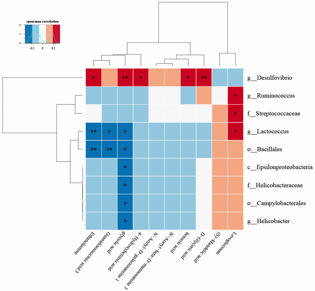 The correlation between specific metabolites and intestinal microbiota was found by correlation thermogram analysis.Desulfovibrio had a significant positive correlation with Benzoic acid and 4-Hydroxybenzoic acid (P 