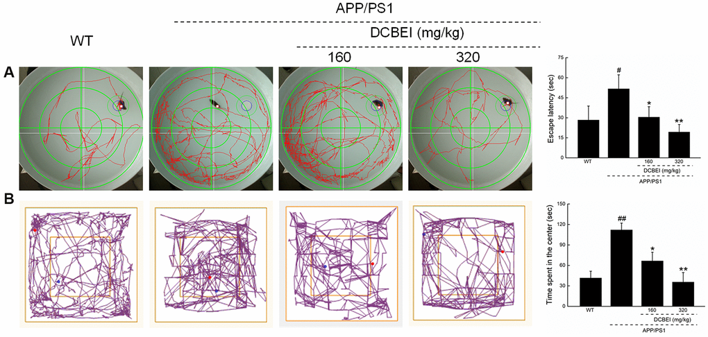 DCBEI improves the behavioral performance of APP/PS1 mice. Compared with non-treated APP/PS1 mice, a 28-day course of DCBEI (A) reduced the escape latency time in the Morris water maze test, (B) decreased the time taken for mice to enter the central area in an open field test. Data are expressed as means ± S.D. (n = 10). # P P P P 