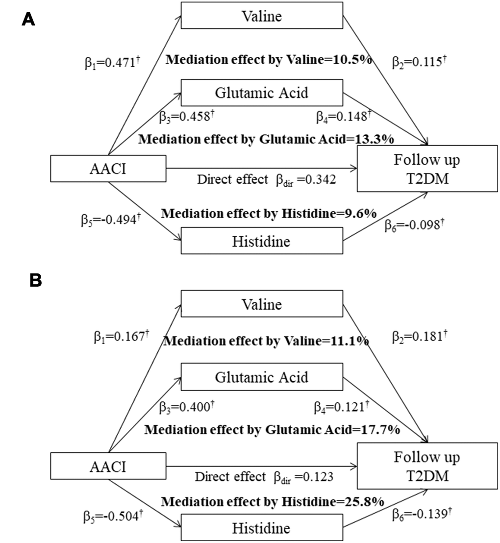 Mediation effects of serum valine, glutamic acid and histidine on the association between the AACI and incidence of type 2 diabetes in the HPHS (A) and HDNNCDS (B). AACI, dietary amino acids composition index; β, the standardised regression coefficients; †P
