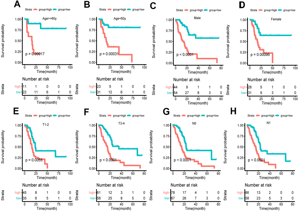 Survival of the FRG signature in patients stratified by gender, age and tumor stage. (A, B) The difference in OS between high- and low-risk group stratified by age. (C, D) The difference in OS between high- and low-risk group stratified by gender. (E, F) The difference in OS between high- and low-risk group stratified by T stage. (G, H) The difference in OS between high- and low-risk group stratified by N stage. (E, F) According to tumor node metastasis classification. T, tumor; N, node.