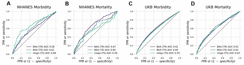 Biological age acceleration (BAA) ranks mortality and morbidity events. BAA estimated from patterns of intraday changes in physical activity level is associated with morbidity and mortality in NHANES (A, B) and UK Biobank (C, D) datasets. The performance was tested in participants aged 45−75 y.o. and was similar in training and test subsets.