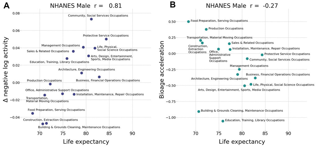 Biological age acceleration (BAA) correctly ranks life expectancy. (A) Assuming the negative logarithm of average daily steps is a proxy for bioage, the observed positive correlation (Pearson’s r = 0.81 for males) with life expectancy is an incorrect prediction. (B) The negative correlation (Pearson’s r=–0.27 fro males) of GeroSense BAA with life expectancy is correct. Similar results were observed for females with Pearson’s r=0.19 and r=–0.55, respectively (data not shown). The calculations were performed in NHANES 2005−2006 cohort aged 30−60 y.o.