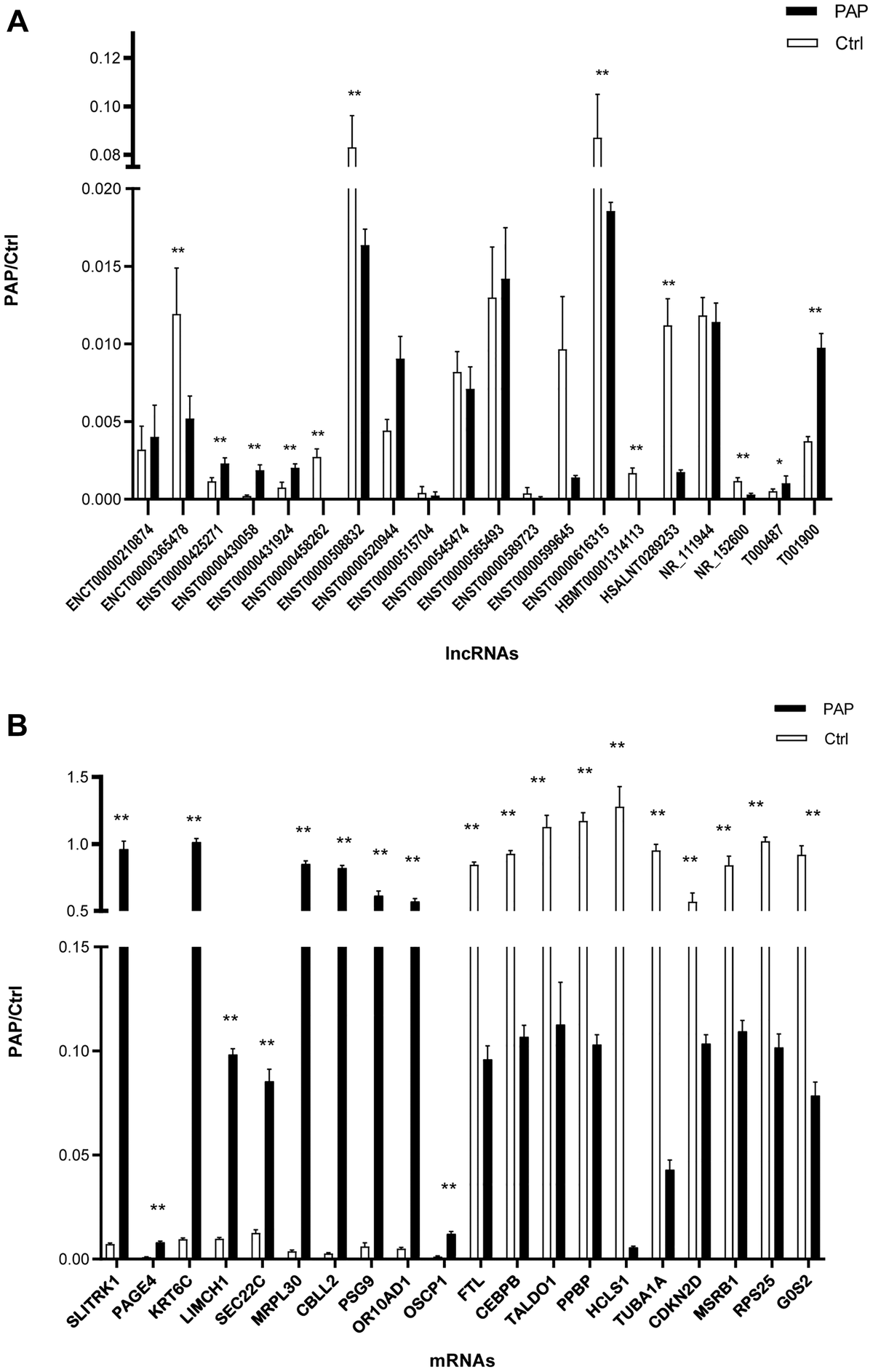 Expression Profiles And Potential Functions Of Long Noncoding Rnas And